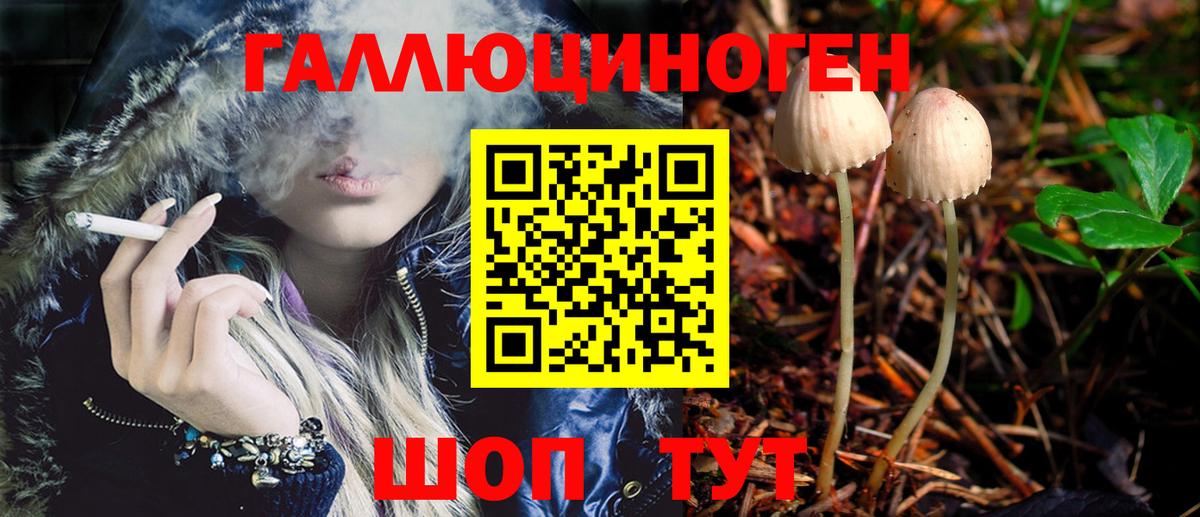 Псилоцибиновые грибы MAGIC MUSHROOMS  Вход с VPN  Галлюциногенные грибы GOLDEN TEACHER  Нововоронеж 